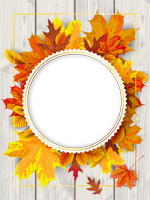 Cadres: Feuilles d'automne