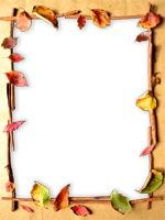 Cadres: Feuilles d'automne