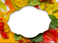 Cadres: Feuilles d'automne