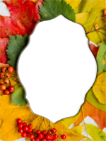 Cadres: Feuilles d'automne