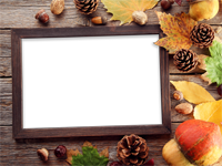 Cadres: Feuilles d'automne