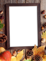 Cadres: Feuilles d'automne