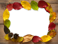 Cadres: Feuilles d'automne