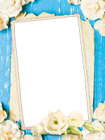 フレームパック: フラワーパック
