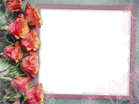 フレームパック: フラワーパック