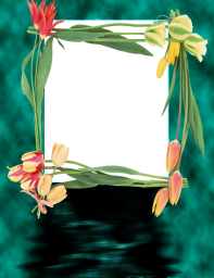 Рамки: Бесплатные рамки