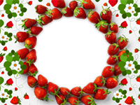 Рамки: Садовые рамки