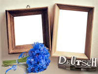 Frames: Germany