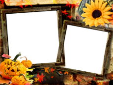 Marcos: Paquete de Halloween