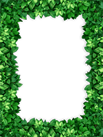Frames: Monocolor Pack