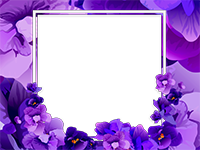 Frames: Monocolor Pack