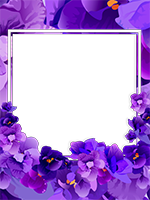 Frames: Monocolor Pack