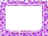 Frames: Monocolor Pack