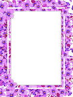 Frames: Monocolor Pack