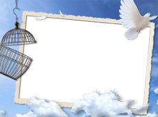 Frames: Pets Pack