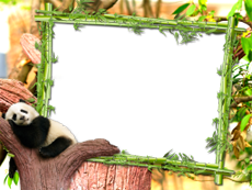 Frames: Pets Pack