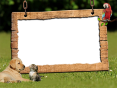 Frames: Pets Pack