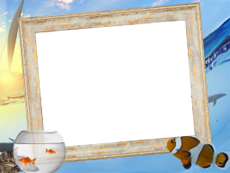 Frames: Pets Pack