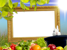 Frames: Pets Pack