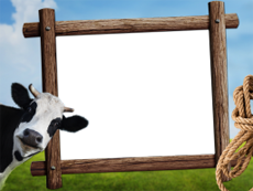 Frames: Pets Pack