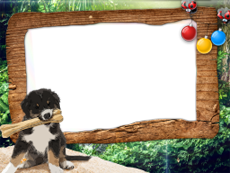 Frames: Pets Pack