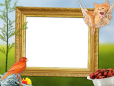 Frames: Pets Pack