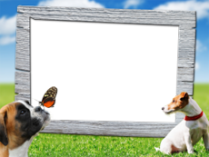 Frames: Pets Pack