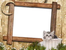 Frames: Pets Pack