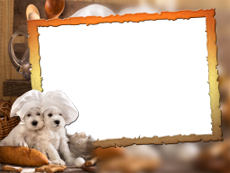 Frames: Pets Pack