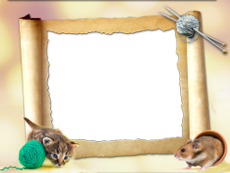 Frames: Pets Pack