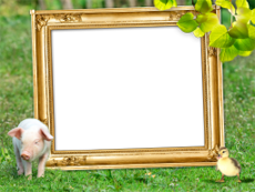 Frames: Pets Pack