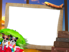 Frames: Pets Pack