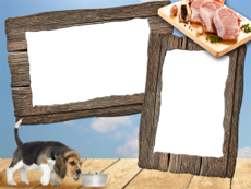 Frames: Pets Pack