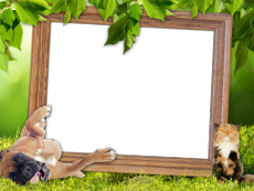 Frames: Pets Pack