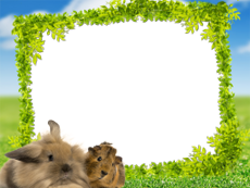 Frames: Pets Pack