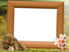 Frames: Pets Pack