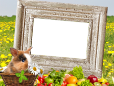 Frames: Pets Pack