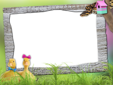 Frames: Pets Pack