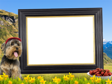 Frames: Pets Pack