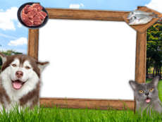 Frames: Pets Pack