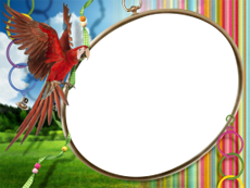 Frames: Pets Pack