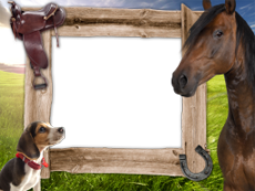 Frames: Pets Pack