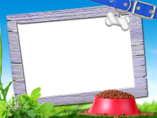 Frames: Pets Pack