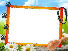 Frames: Pets Pack