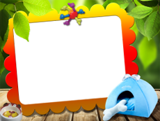 Frames: Pets Pack