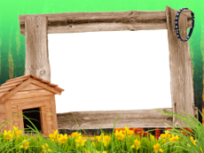 Frames: Pets Pack