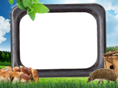 Frames: Pets Pack
