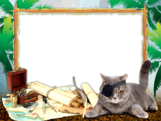 Frames: Pirates World
