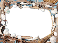 Рамки: Морские рамки