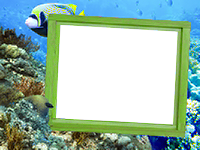 Рамки: Морские рамки